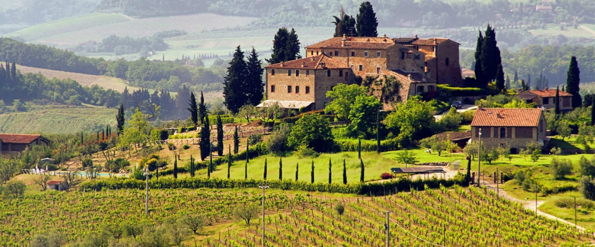 The Top Wineries in the World: A Wine Expert's Perspective